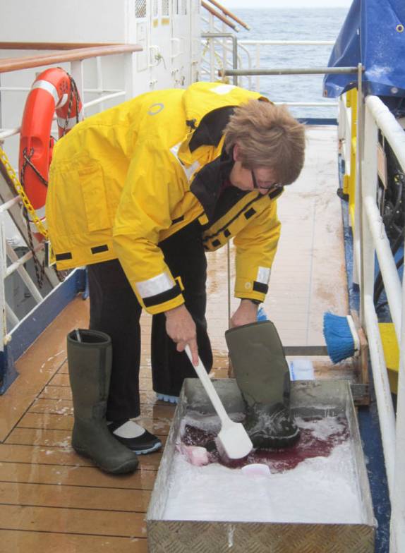 Fazendo os procedimentos de bio-segurança no Sea Spirit, entre a Geórgia do Sul e a Antártida